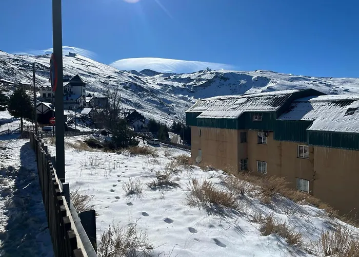 Biznaga Nevada